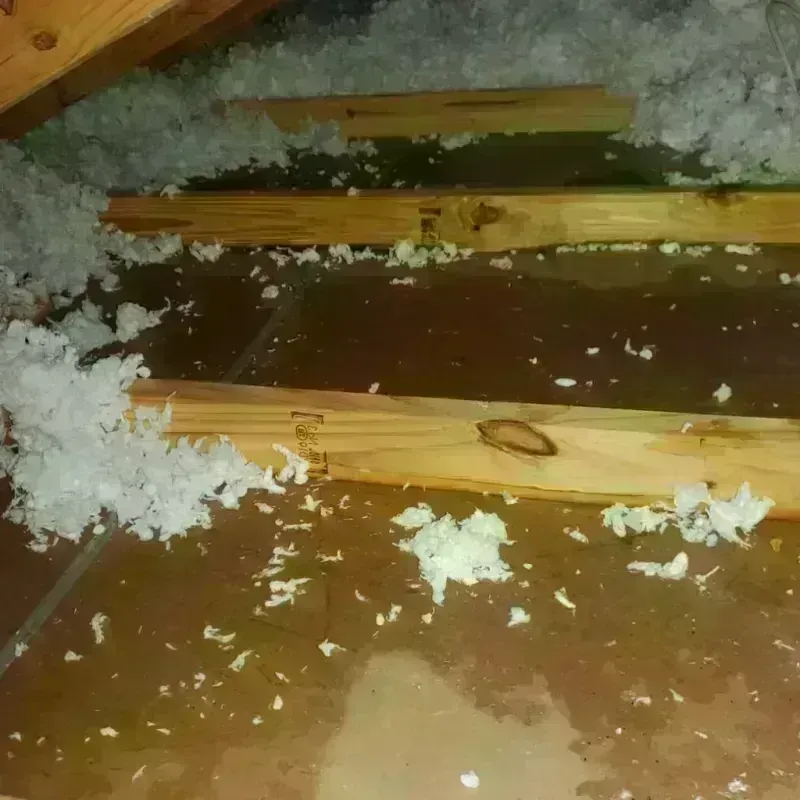 Attic Water Damage in Jefferson County, IL