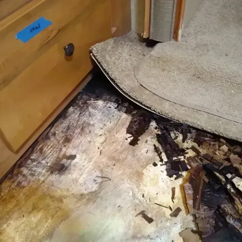 Wood Floor Water Damage in Jefferson County, IL